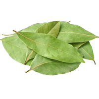 Bay Leaf