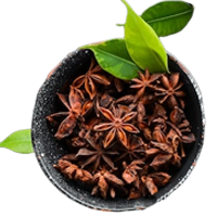 Star Anise